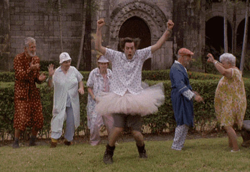 We Should Dance