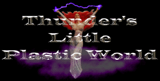 Welcome to Thunder's Little Plastic World 